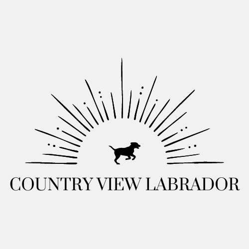 Country View Labrador