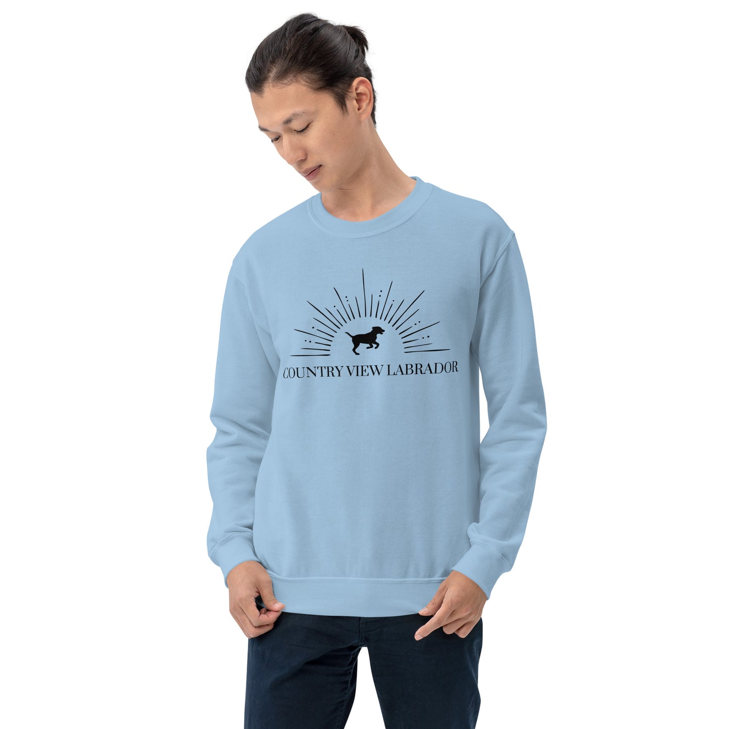 Country View Labrador - Men's Sweatshirt